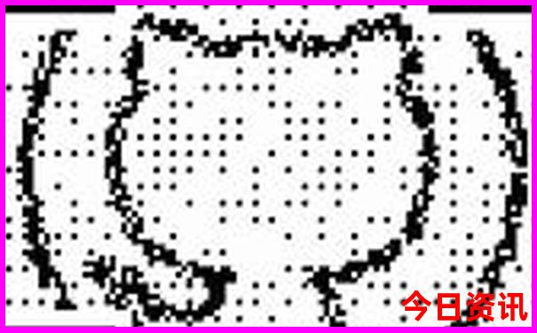 带孩子上海两日游攻略自由行